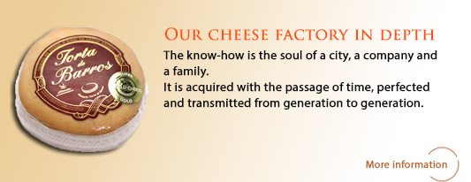 Our Cheese Factory